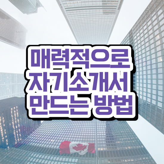  , 자기소개서지도사 자격증 합격한 전략 궁금증 해결
