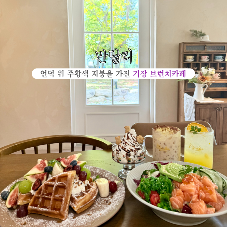  [부산 기장] 만달리 : 포카치아, 샐러드, 와플이 있는 만화리의 언덕 위 주황색 지붕을 가진 따뜻한 감성 기장브런치카페
