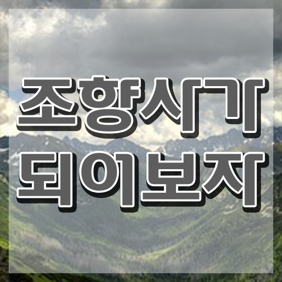  , 조향사 동영상으로 취득 노하우