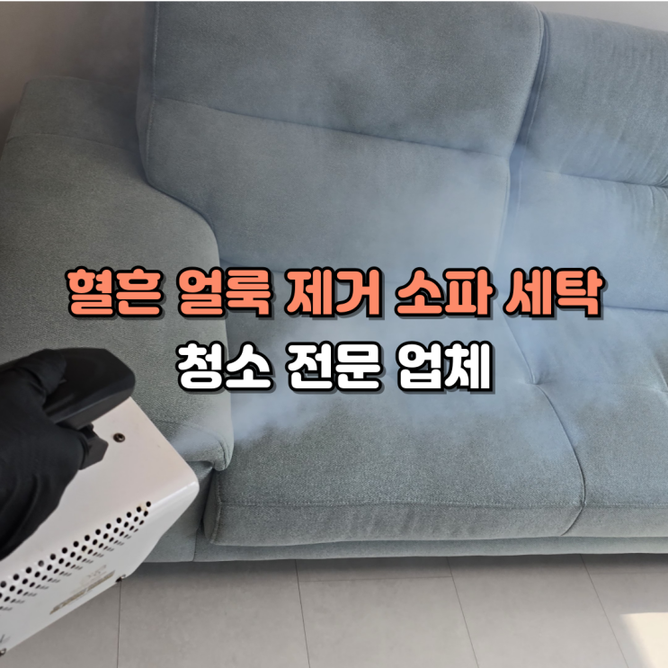  대전 혈흔 얼룩 제거 소파 청소 전문업체