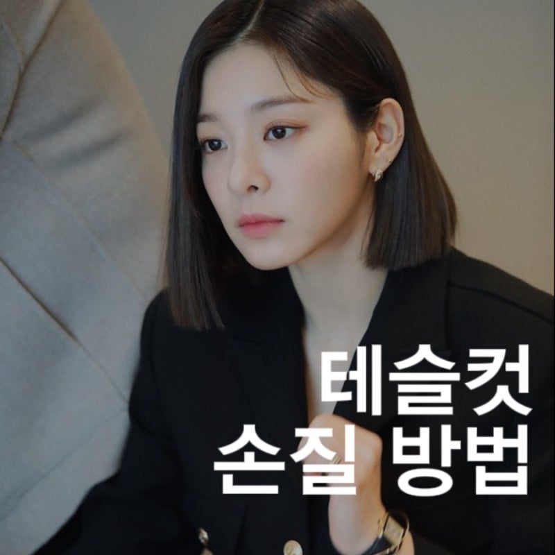 네이버 인플루언서
