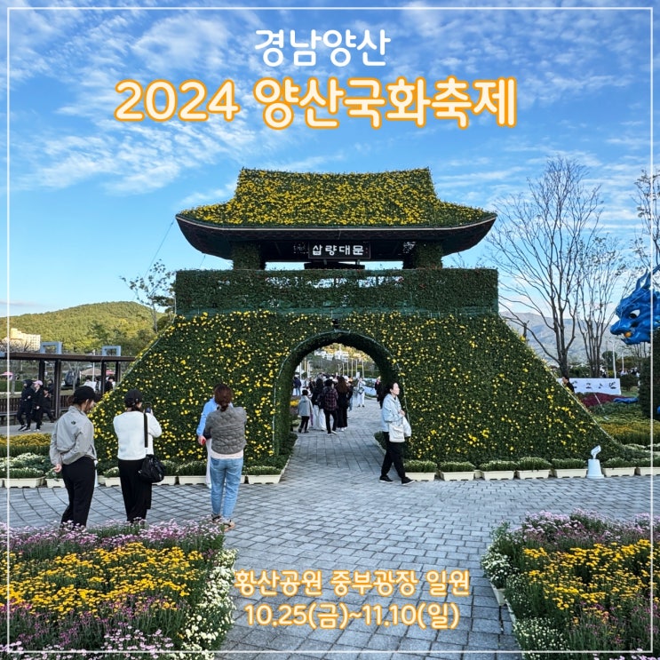  [양산] 2024 양산국화축제, 황산공원, 10.24~11.10, 11월이후 방문 추천