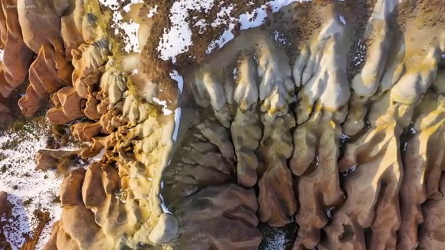  병원동행매니저 취업 병원동행메니저 자격증 준비한 방법 , 활용방법
