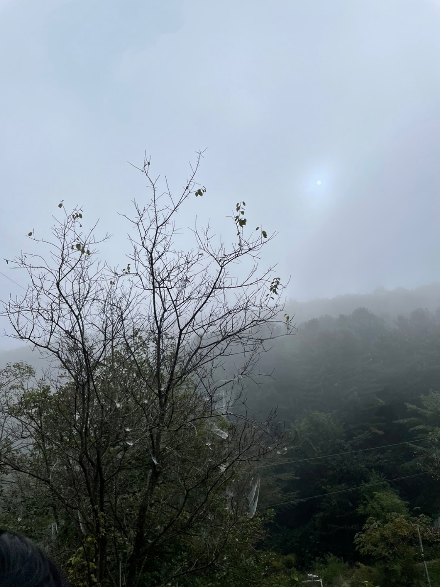 가평 화야산장펜션 사진 2