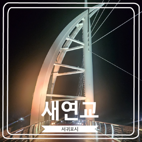  [새연교] 서귀포항과 새섬을 이어주고 있는 야간 명소