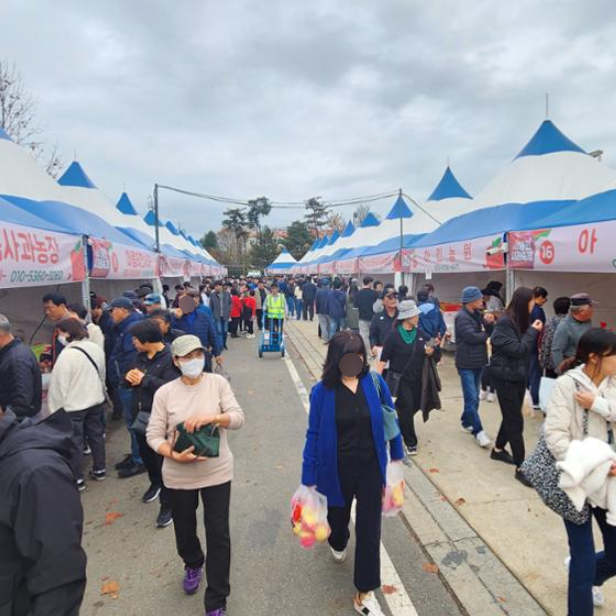  홍천 사과축제 기본정보 아이와 가볼만한곳