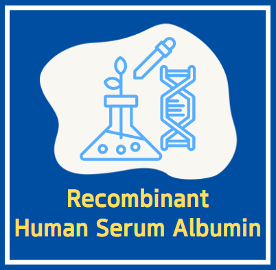  Recombinant Human Serum Albumin (Purity≥99%, from Yeast)
