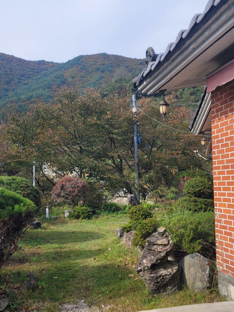 사진 3