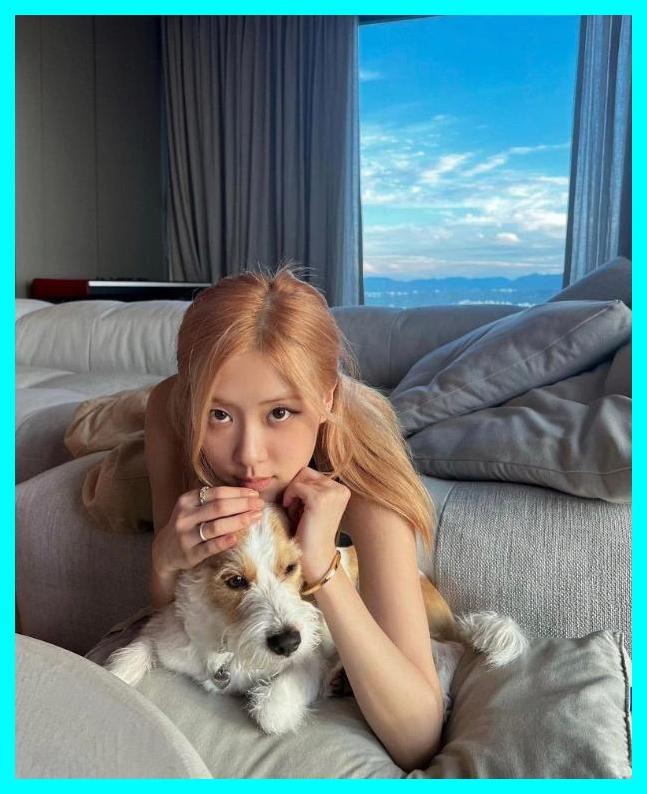 블랙핑크 <b>로제 아파트</b> 100억 펜트하우스 어디?