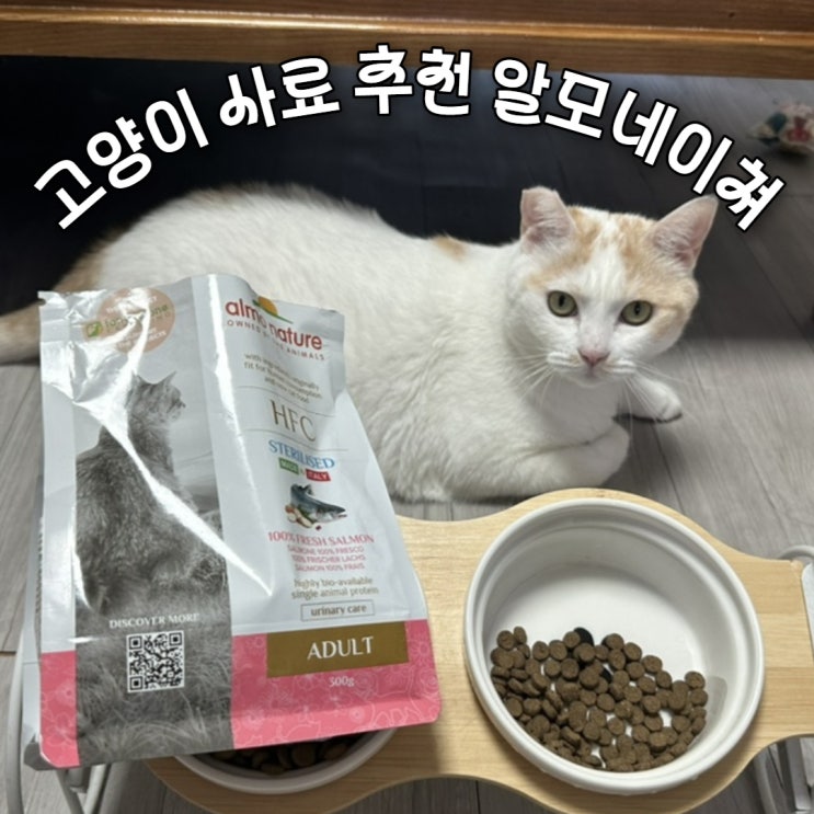  고양이 사료 추천: 고양이 다이어트 사료로 기호성 좋은 HFC 건사료 사용 후기