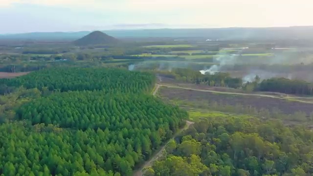  아파트 경매 확인 , 구체적인 부동산권리분석사자격증 취득방법