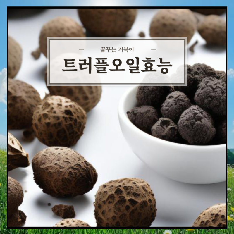 트러플오일효능: 숨겨진 보물의 향기