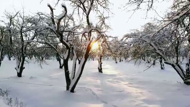  아동교육지도사 무료수강 , 아동교육지도사 자격증 응시자격 없이 합격한 전략 확인