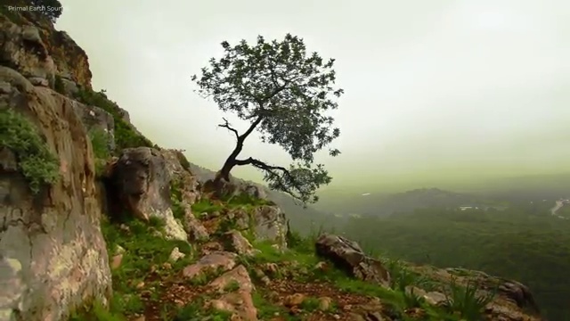  학생 자격증 추천 , 고졸도 병원동행메니저 발급받아 보세요