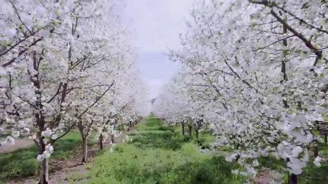  부동산공부방법 , 부동산자산관리전문가 부동산자산관리사자격증 합격 전략 , 전망