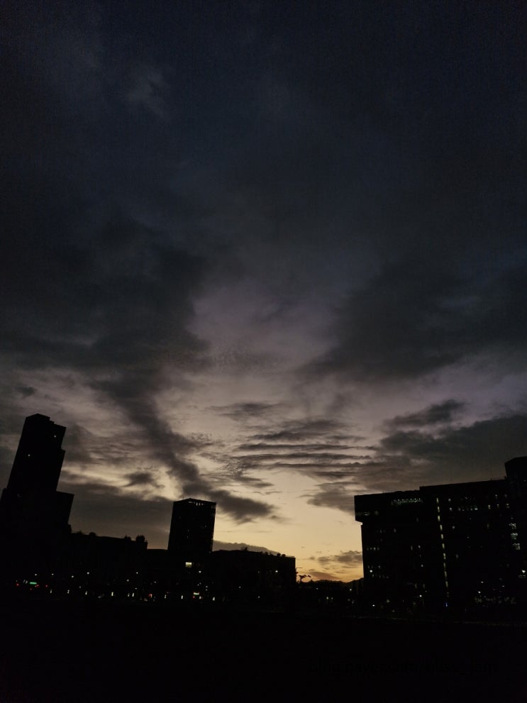  W43 정신없는 10월말