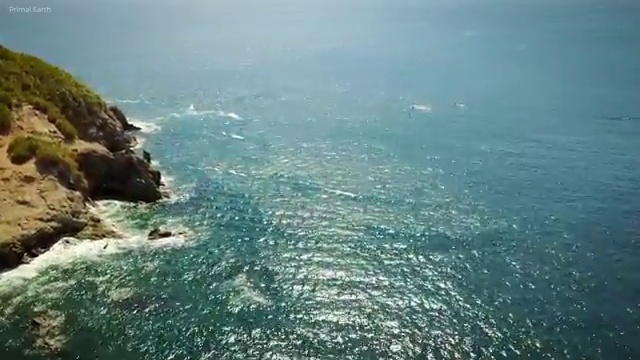  바리스타 2급 필기 독학 , 바리스타 자격증 단기간에 합격한 팁 , 취업정보