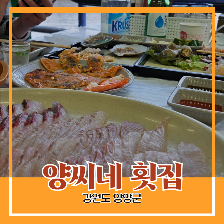 강원도 양양군) 양씨네 횟집 - 낙산사 낙산 해수욕장 근처 회센터에 위치한 분위기 맛집 강원도 양양군) 양씨네 횟집 - 낙산사 낙산 해수욕장 근처 회센터에 위치한 분위기 맛집