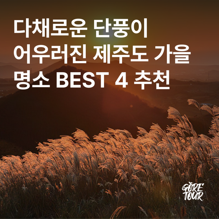  다채로운 단풍이 어우러진 제주도 가을 명소 BEST 4 추천