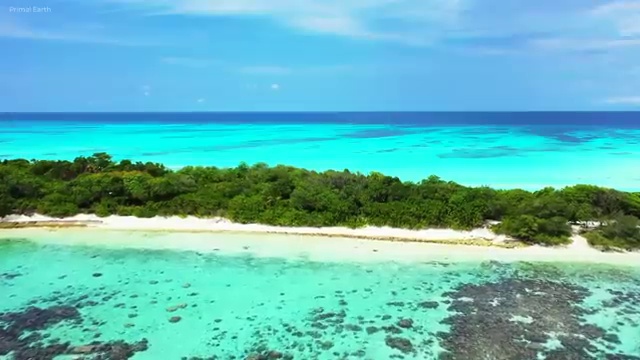  집합건물 , 집합건물관리사 온라인으로 공부한 방법 알려드립니다