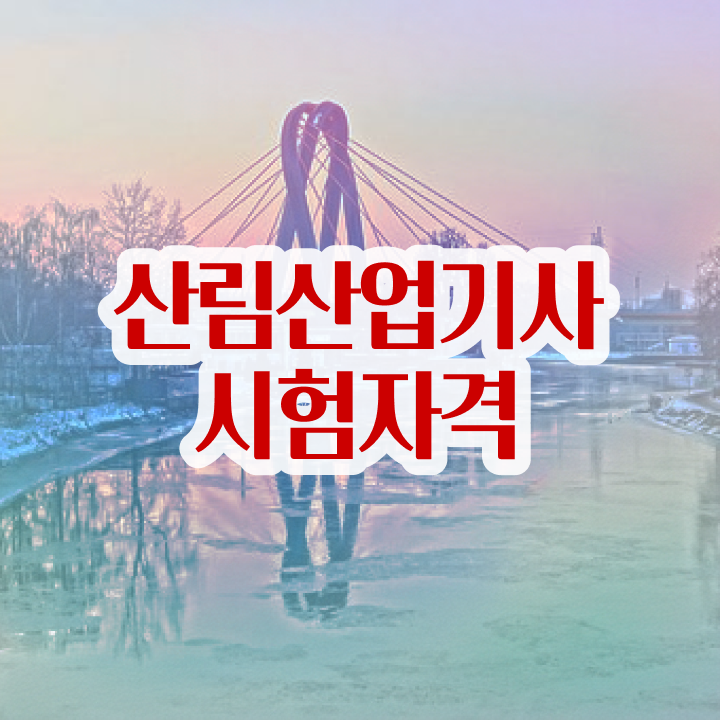  산림산업기사 학점은행제 산림산업기사 시험응시조건 학점은행제로 쉽고 빠르게 성공한 후기