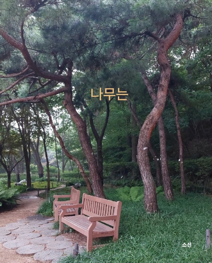 한강 시와 음악_ 나무는 새벽의 노래 한강 시와 음악_ 나무는 새벽의 노래