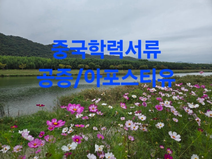  중국대학교 성적서 번역공증