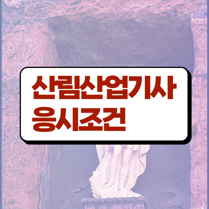  산림산업기사 시험 자격 산림산업기사 취득자격 독학으로 쉽고 빠르게 성공한 과정