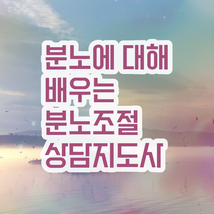  장수분노조절상담지도사1급 분노조절상담지도사 준비 과정 , 하는일