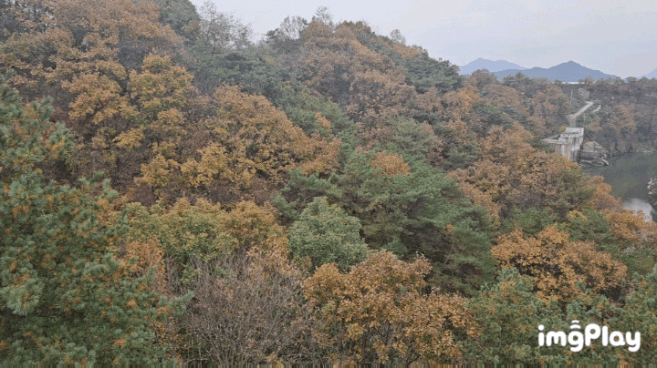  철원 한탄강 주상절리길 순담 드르니 장단점 및 정보
