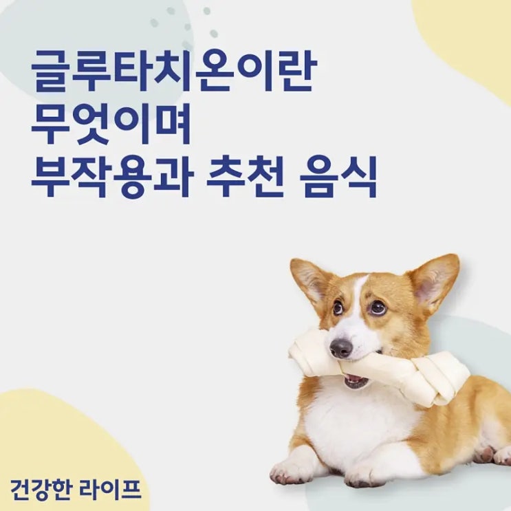  글루타치온 효능, 부작용과 추천 음식