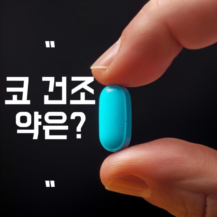  코 건조 약 코막힘 건조할때