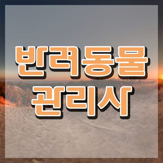  반려동물관리사자격증시험 , 반려동물관리사 자격증 온라인 교육으로 학습한 후기 필수 정보