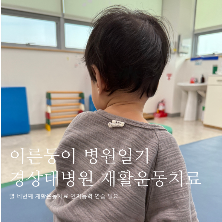 이른둥이 병원일기 열 네번째 재활운동치료 인지능력 연습 필요 이른둥이 병원일기 열 네번째 재활운동치료 인지능력 연습 필요