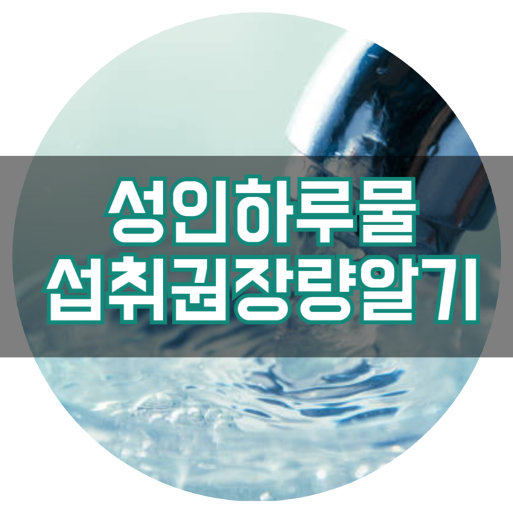  성인 하루 물 권장량과 마셔야 하는 이유
