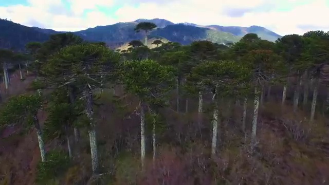  독학 자격증 추천 , 노인통합관리지도사 인강만으로 실무경력 없어도 간편하게 준비한 방법