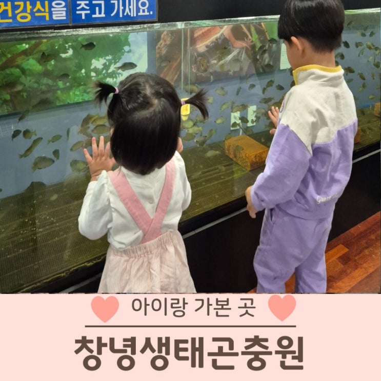  창녕 생태곤충원 아이랑 가볼만한 곳
