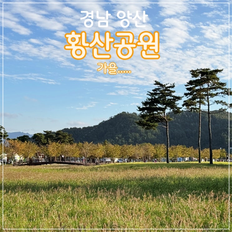  [양산] 황산공원. 이 가을 캠핑 및 피크닉 가기 너무 좋은 곳