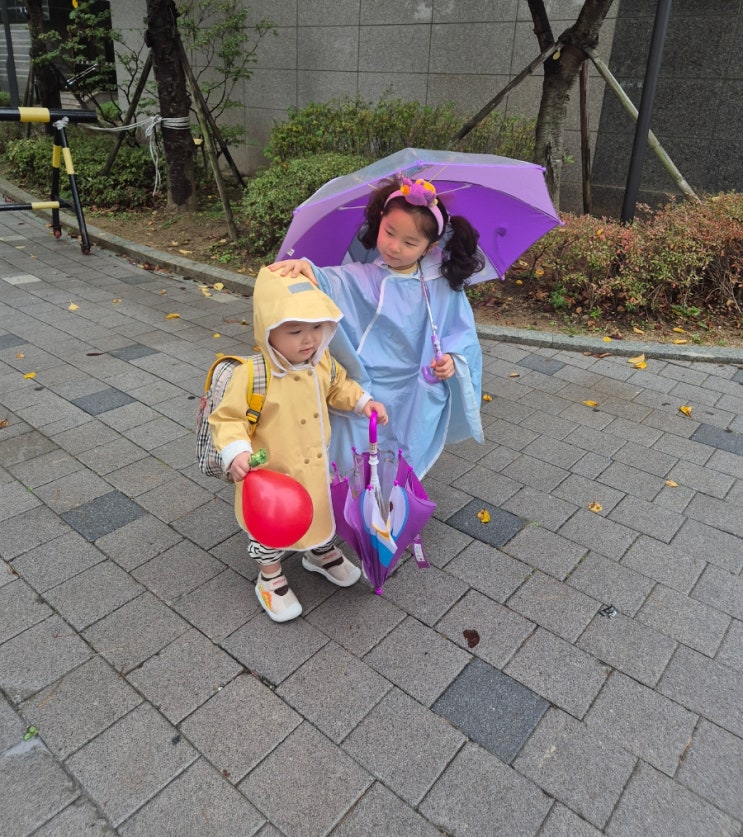  유치원 입소대기 언제 처음학교로 우선모집 방법