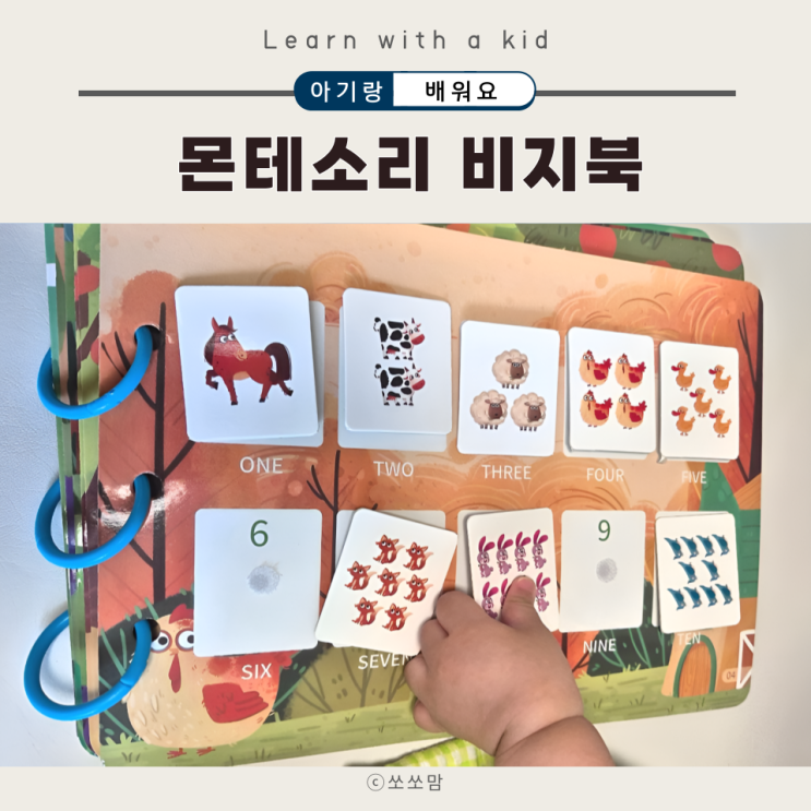  몬테소리 비지북 아기 소근육과 인지발달에 좋은 스티커북 놀이 교구