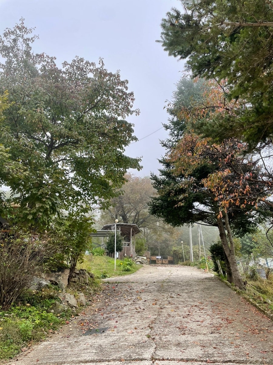 가평 화야산장펜션 사진 4