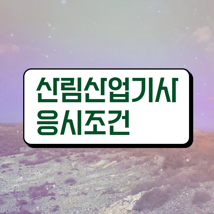  산림산업기사 시험 준비물 산림산업기사 응시조건 인강만 듣고 편하게 준비한 비법