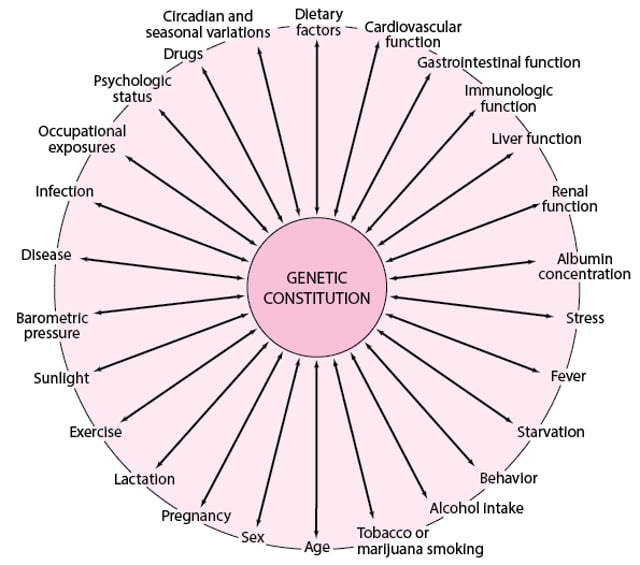 약물유전학(Pharmacogenetics)