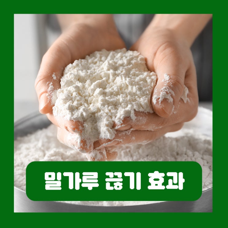  밀가루 끊기 효과 글루텐 건강에 해로운 이유