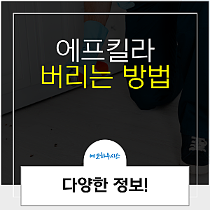 에프킬라 버리기, 버리는법은?