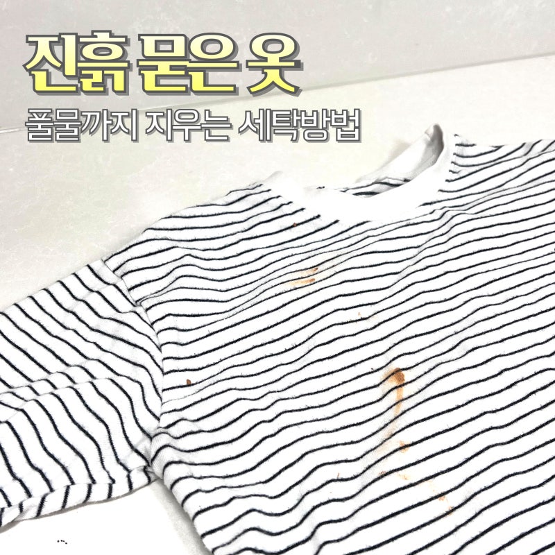 진흙 묻은 옷 풀물 세탁방법