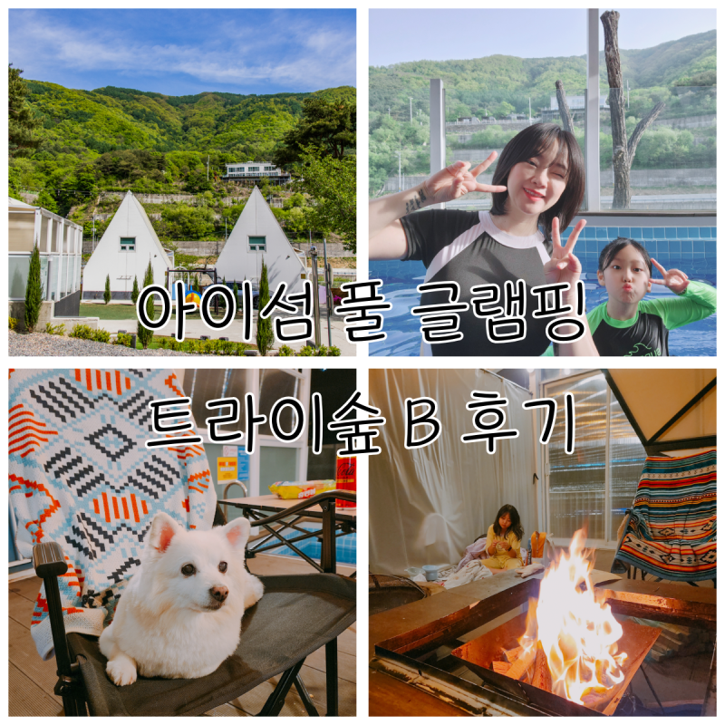 사진 2