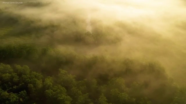  커피바리스타1급 과정 , 바리스타 자격증 취득한 정보 확인하세요