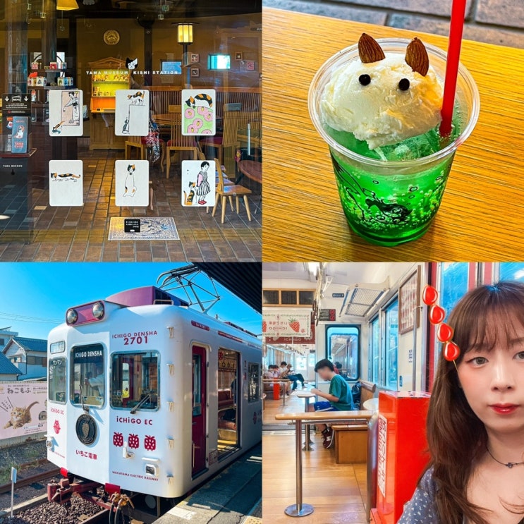  오사카 근교 소도시 와카야마 기시역 타마카페 & 이치고덴샤 딸기 기차