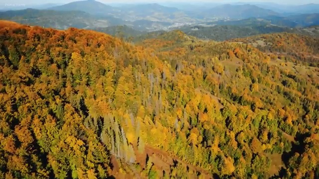  요양병원관리사 무료 수업 , 요양병원관리사 자격증 쉽고 빠르게 합격한 비법 궁금증 해결